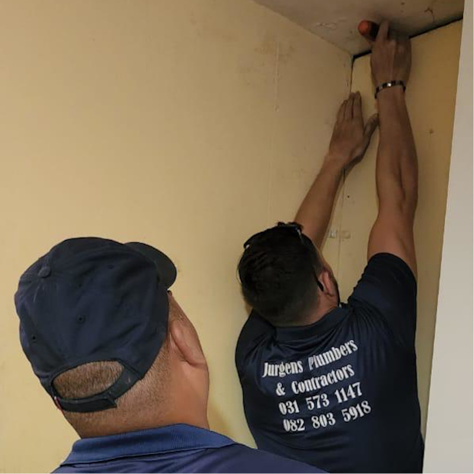 Ceiling Replacement & Painting